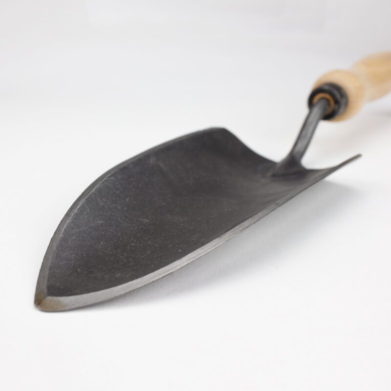 Verplantschepje De Wit