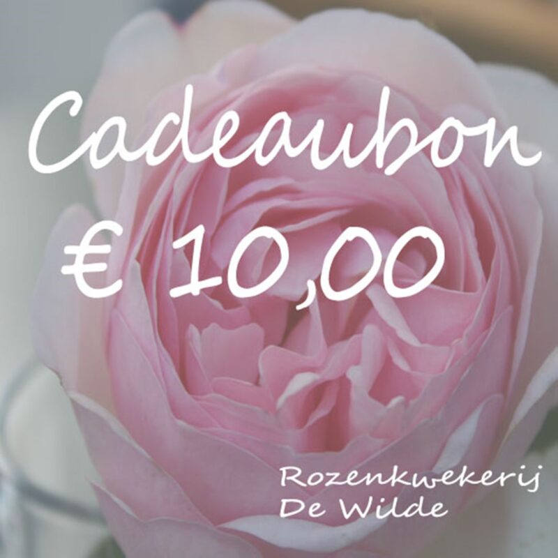 Cadeaubon twv € 10,00