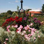 Obelisk I voor klimpanten