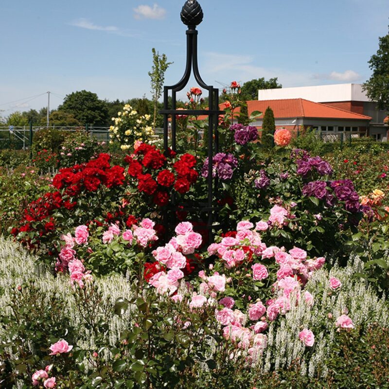 Obelisk I voor klimpanten