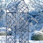 Victoriaanse rozenboog 'Kiftsgate'