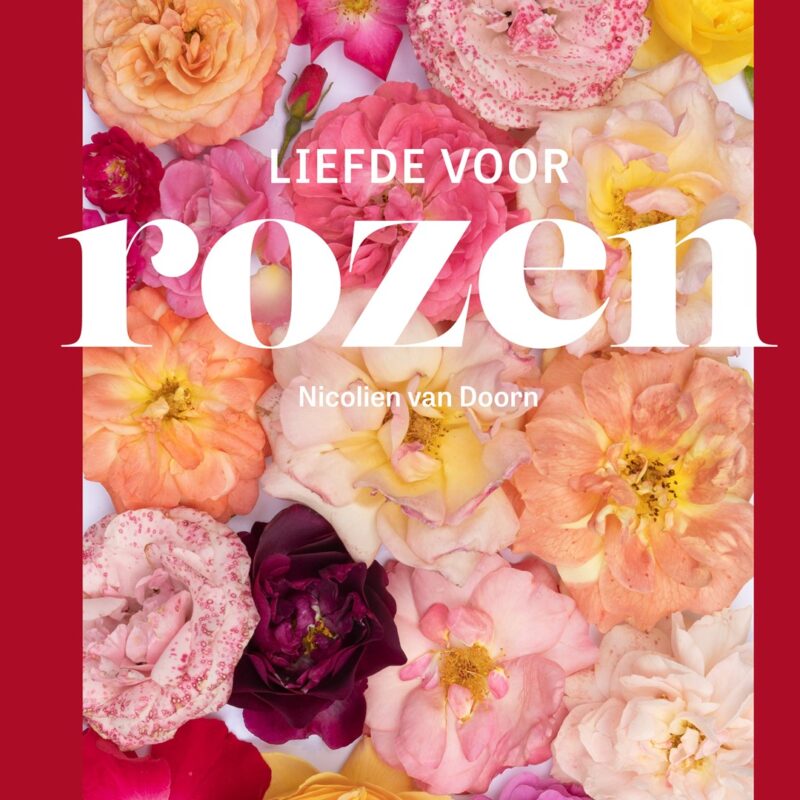 Liefde voor rozen