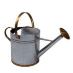 Gieter 10 liter (per stuk)