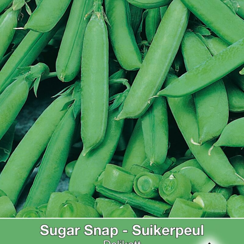 Zaden Sugarsnap suikerpeul