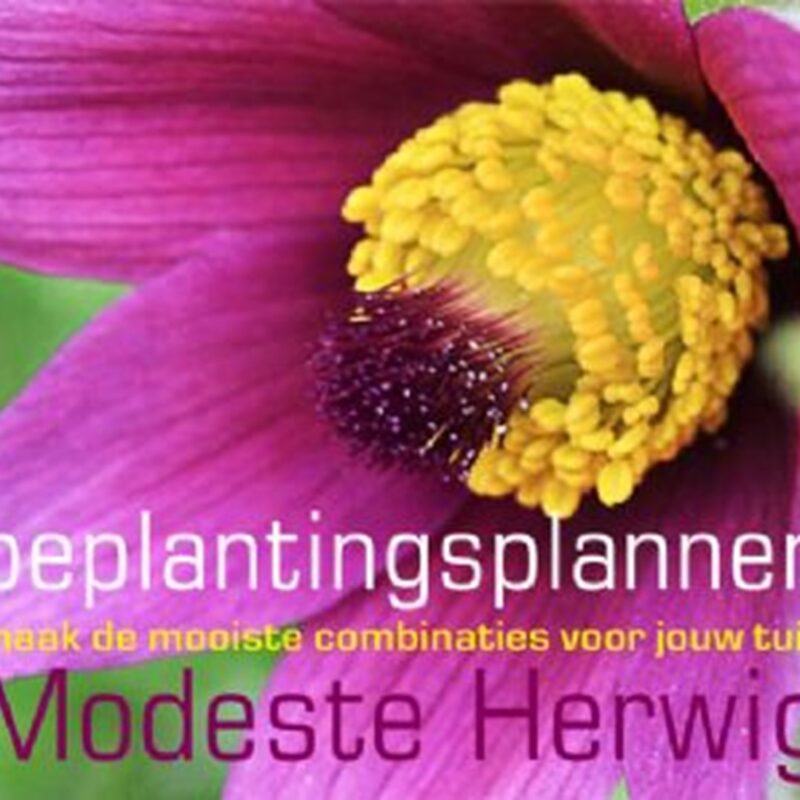 Beplantings plannen (per stuk)